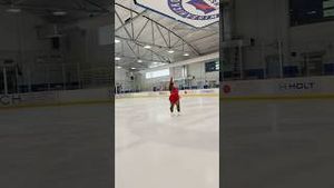 Video post by @lainedubin on YouTube