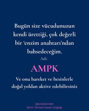 Image post by @asliokender on Instagram