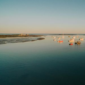 Image post by @themainemag on Instagram