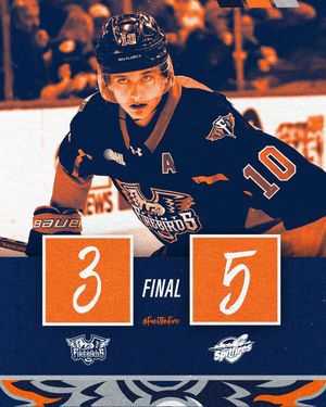 Image post by @flintfirebirds on Instagram