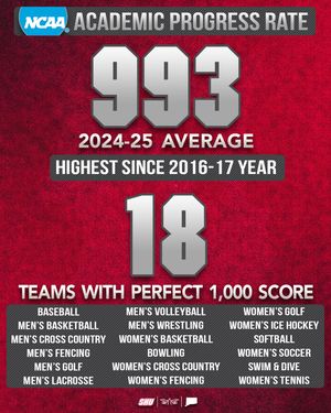 Image post by @shubigred on Instagram