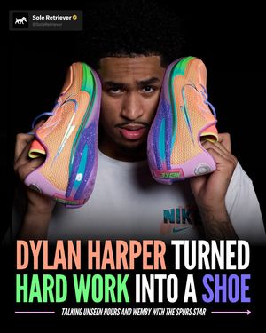 Image post by @soleretriever on Instagram