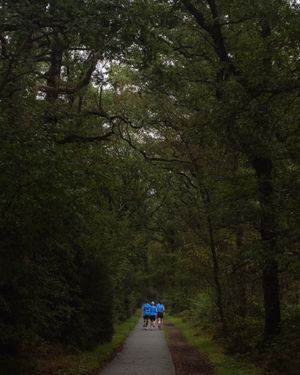 Image post by @hardloopnetwerk on Instagram