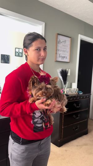 Video post by @thepuigfamily on TikTok