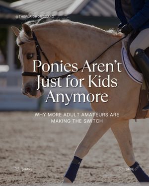 Image post by @theplaidhorsemag on Instagram