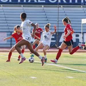 Image post by @wpsl on Instagram