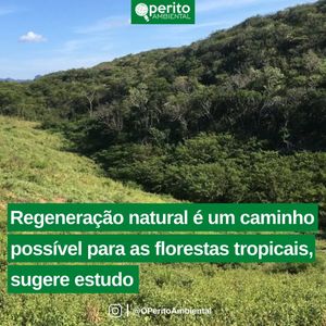 Image post by @operitoambiental on Instagram