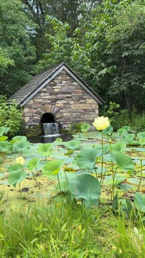 Image post by @visitbuckspa on Instagram