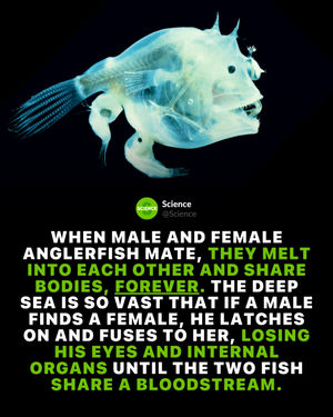 Image post by @science on Instagram