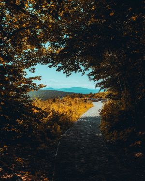 Image post by @z.clik on Instagram