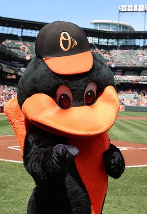 Image post by @OrioleBird on Twitter