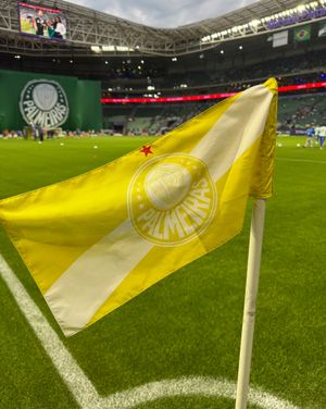 Image post by @palmeiras on Instagram