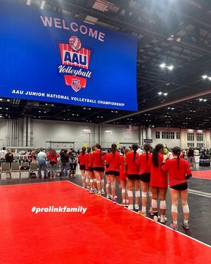 Image post by @PLAvolleyball on Facebook
