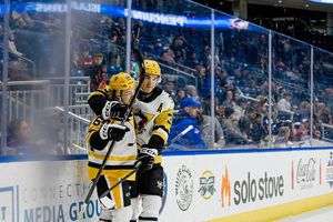 Image post by @wbspenguins on Instagram
