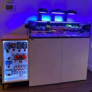 Image post by @neptunesystems on Instagram