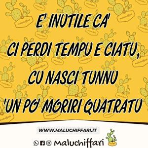 Image post by @maluchiffari on Instagram