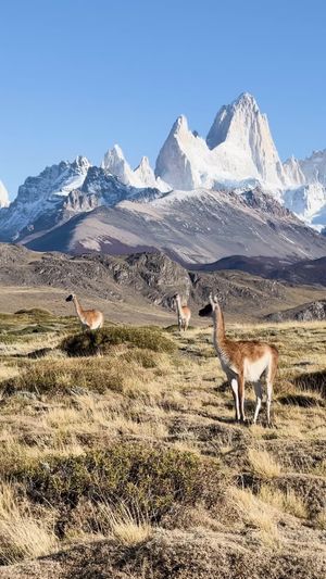Video post by @bbcearth on Instagram