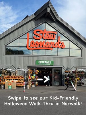Image post by @stewleonards on Instagram