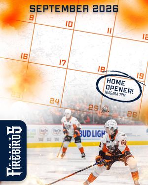 Image post by @flintfirebirds on Instagram