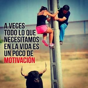 Image post by @israelgalindov on Instagram