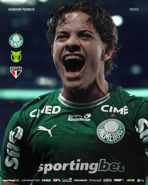 Image post by @palmeiras on Instagram