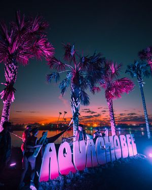 Image post by @okeechobeefest on Instagram