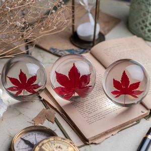 Image post by @leafyaffair on Instagram