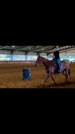 Video post by @jandcbitstexas on Facebook