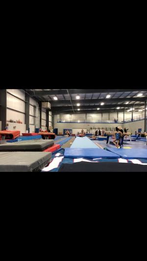 Video post by @avery.neff on Instagram