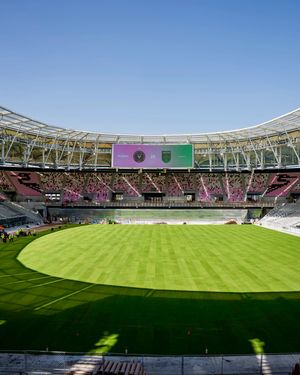 Image post by @mlses on Instagram