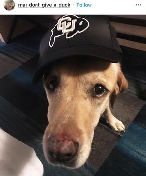 Image post by @cubuffs on Instagram