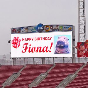 Image post by @reds on Instagram