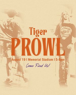 Image post by @clemsonlinedancing on Instagram