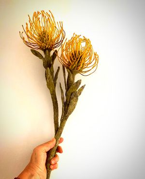 Image post by @natalialafourcade on Instagram