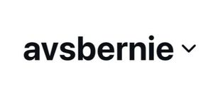 Image post by @AvsBernie on Twitter