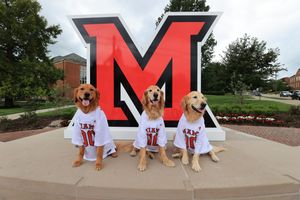 Image post by @miamiuniversity on Instagram