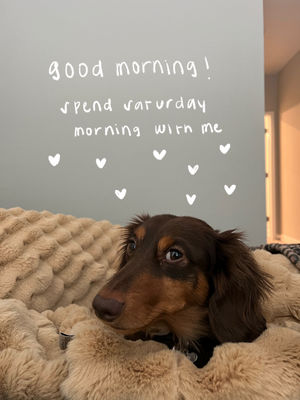 Video post by @catchingupwithcaitlin on TikTok