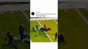 Video post by @houseofhighlights on YouTube