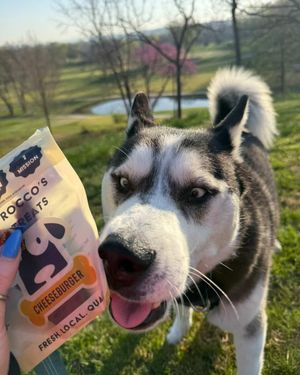 Image post by @saintroccostreats on Instagram