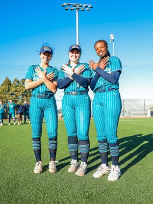 Image post by @uncwsoftball on Instagram