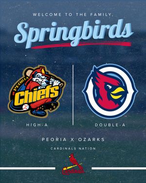 Image post by @peoriachiefs on Instagram