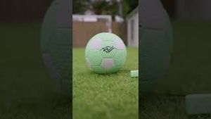Video post by @thewingrovefamily on YouTube
