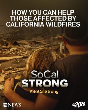 Image post by @abc2020 on Instagram