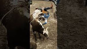Video post by @pbr on YouTube