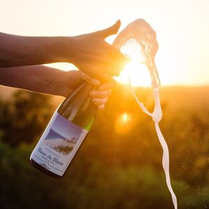Image post by @glenarborwines on Instagram