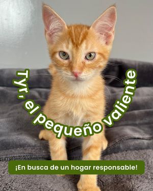 Image post by @tierradenando on Instagram