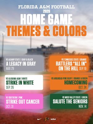 Image post by @famufb on Instagram