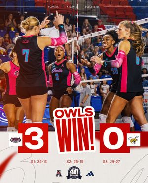 Image post by @fauvolleyball on Instagram