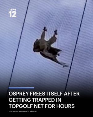 Image post by @news12li on Instagram