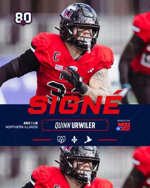 Image post by @mtlalouettes on Instagram